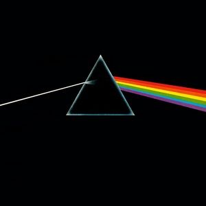 Meet your Posher, Kaleb